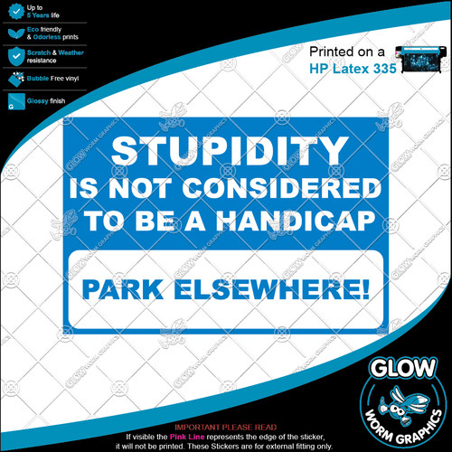 Stupidity handicap parking - stupidity,