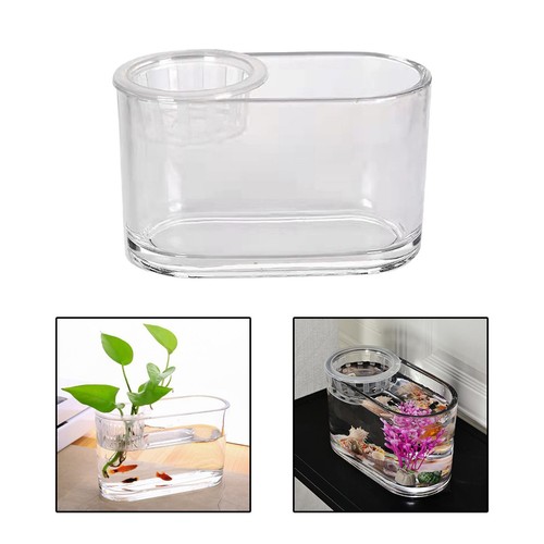 Aquaponic fish tank plant - aquaponic,