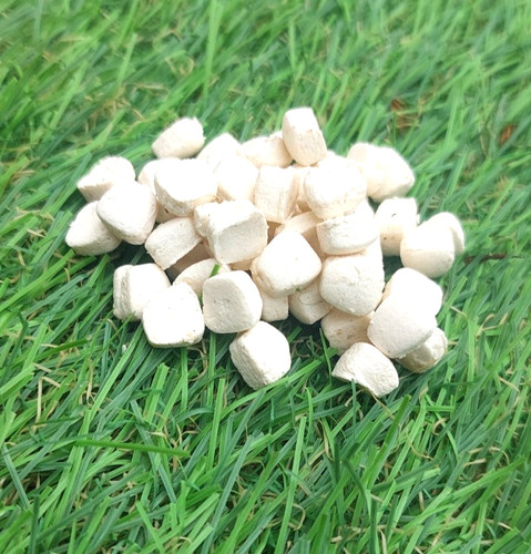 Carp fishing bait - bait, corn