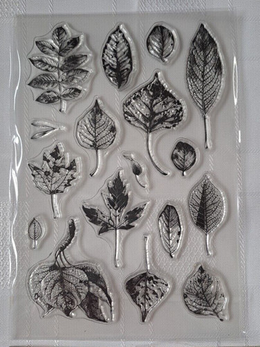 Clear acrylic skeleton - clear,