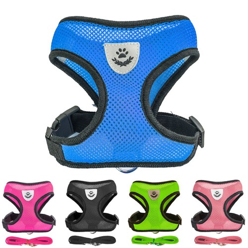Breathable cat chihuahua pug - cat,
