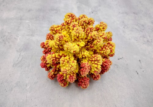 Yellow rose faux - faux, cluster