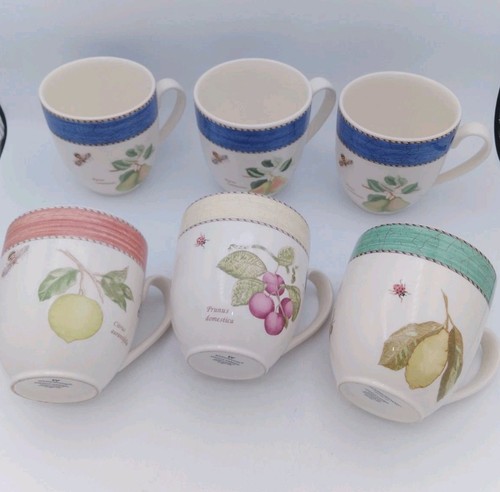 Wedgwood sarah s garden - 6, sarah’s