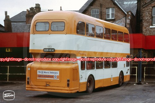Bus photo selnec cheshire - bus,