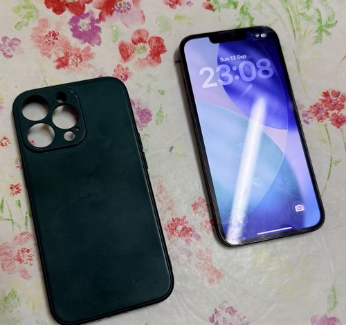 Iphone pro 256gb alpine - 13,
