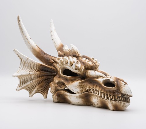 Prorep dragon skull large - prorep,