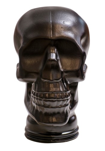 Glass skull display - display, head