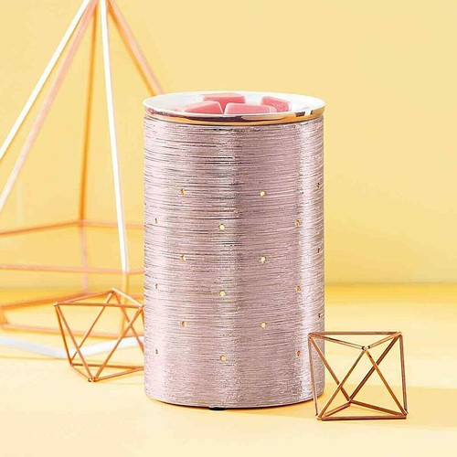 Scentsy etched rose - rose, gold