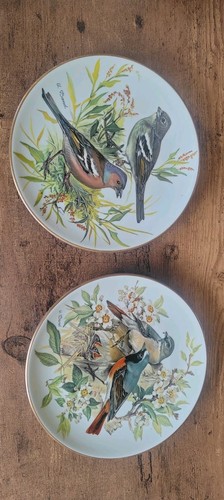 Vintage collector plates - collector,