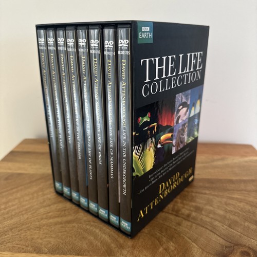 Life collection david - life,