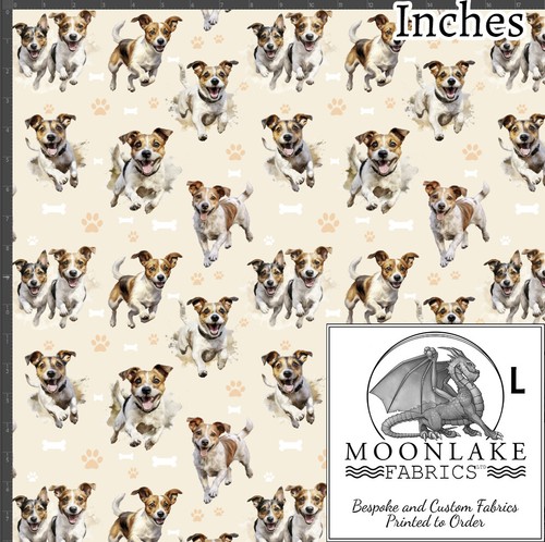 Jack russell dog running - russell,