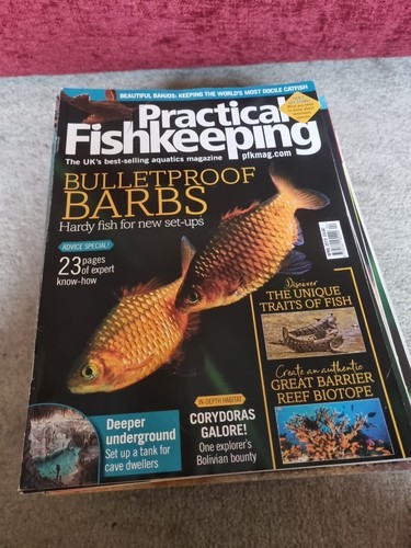 Practical fishkeeping magazine - fishkeeping,