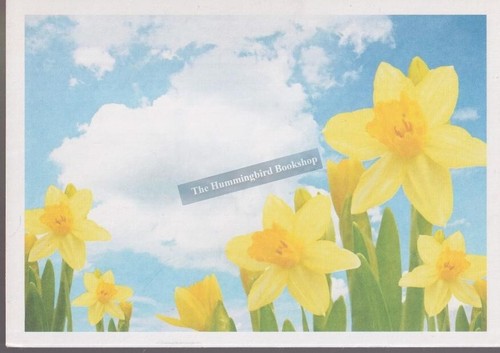 The great daffodil appeal - the,