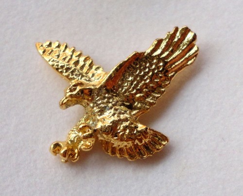 Small biker motorcycle - small, eagle