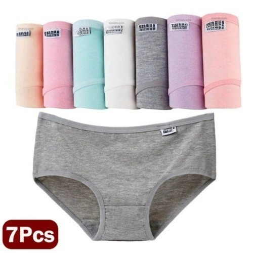Pack ladies briefs 100 - pack,