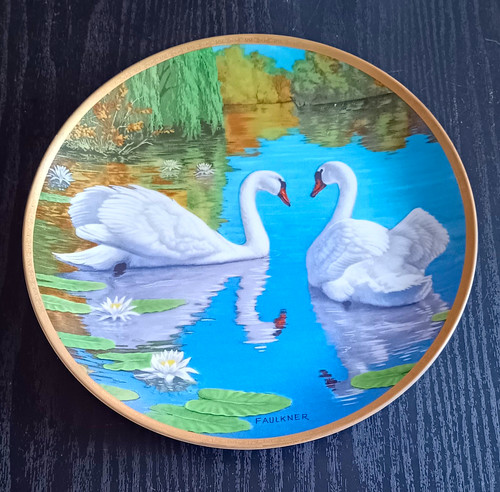 George the swan - george,
