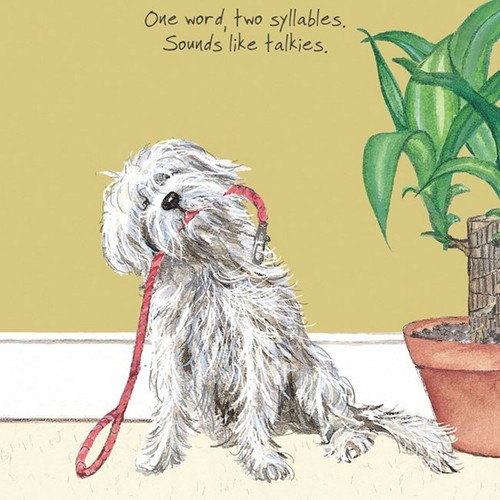 Mongrel dog greeting card - mongrel,