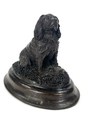 David Hughes Working Dog