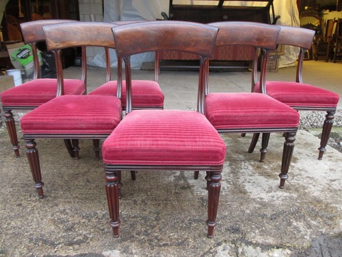 Set william iv mahogany - set,