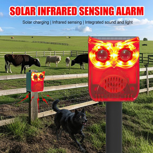 Solar animal repeller - animal, motion