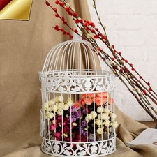 Large Decorative Bird Cage White Round Metal Birdcage Wedding Vintage Ornaments