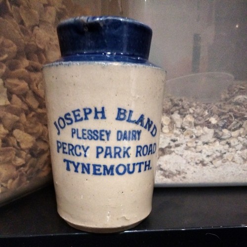 Blue top cream pot - cream,