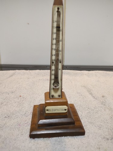 Vintage souvenir thermometer - souvenir,