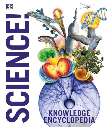 Abigail beall knowledge - abigail,