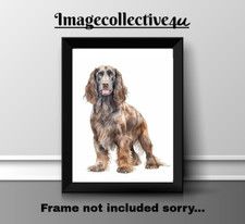 FIELD SPANIEL PET A4 PRINT