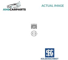 ENGINE PISTON & RINGS 40809600
