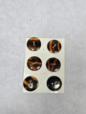 6 Plastic tortoise shell