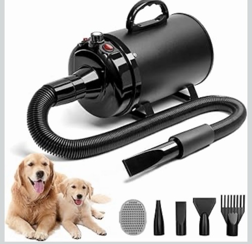Dog hair dryer - dog,
