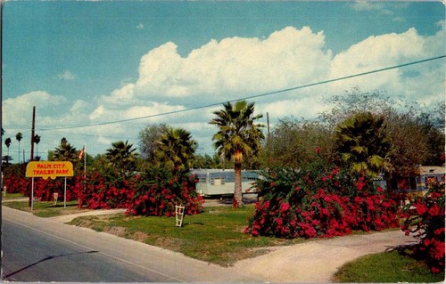 Mcallen postcard palm city - mcallen,