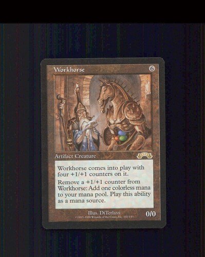 Workhorse 142 exo - -,