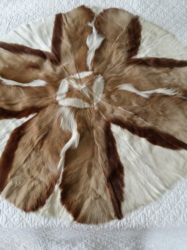 Springbok hide rug - springbok,