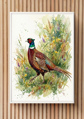 Pheasant watercolour print - watercolour,
