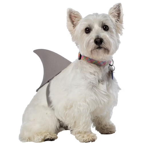 Shark fin dog costume gc5011md - fin,