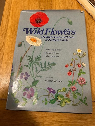 The wild flowers - the,