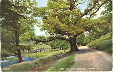 Little Matlock Bradgate Park