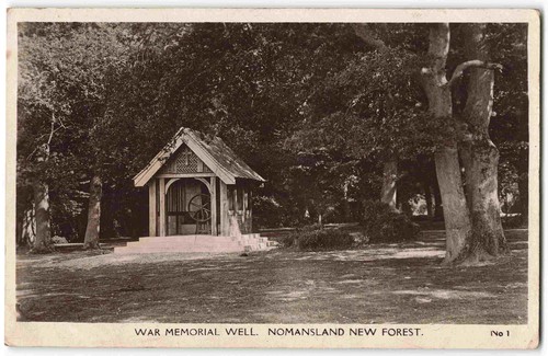 Normansland new forest - forest, war
