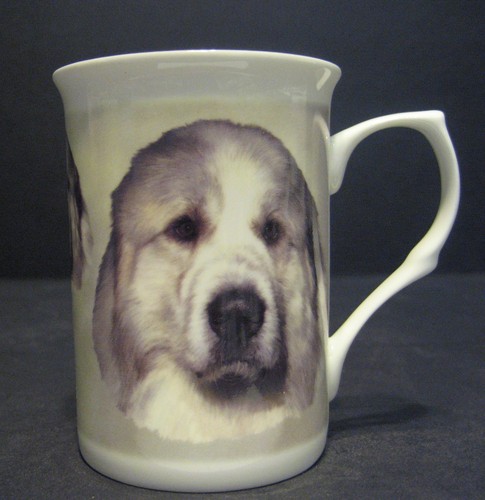 Pyrenean mountain dog fine - mountain,