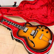 Ibanez AFV105-RAF Electric