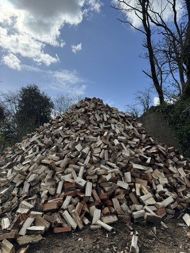 Firewood logs bulk - firewood,