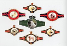 PYRENEAN MOUNTAIN DOG COLLECTION OF DOG COLLECTABLE BANDS