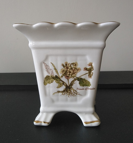 Connoisseur fine bone china - fine,