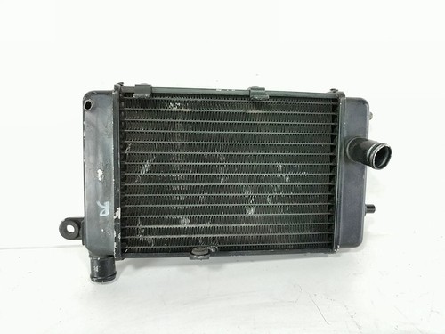Aprilia rst1000 futura - rst1000,