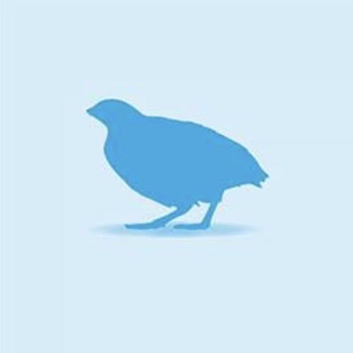 Frozen quail ideal - -, for