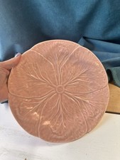 Van Verre pink cabbage leaf