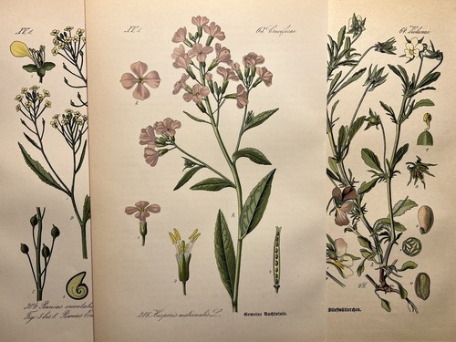 Illustration pictures - illustration,