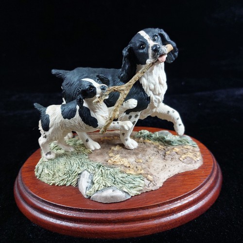 Border fine arts springer - arts, 'springer